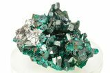 Lustrous Dioptase Crystals with Cerussite - Republic of the Congo #266294-1